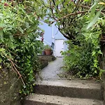 Wonderful Home And Parking, Pets Allowed
