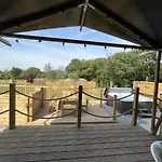 Lion King Safari Tent