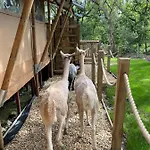 Robin Hood Safari Tent