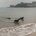 Tenby 2 Bed Flat With Parking, Plus Pet
