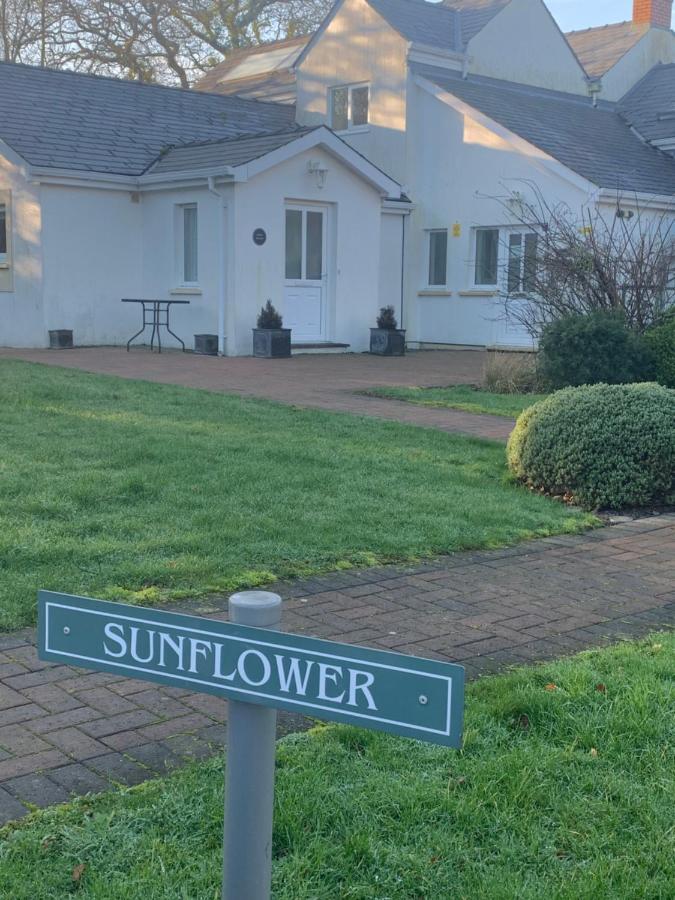 Sunflower Apartment, Family Near In Pembrokeshire Apartment
