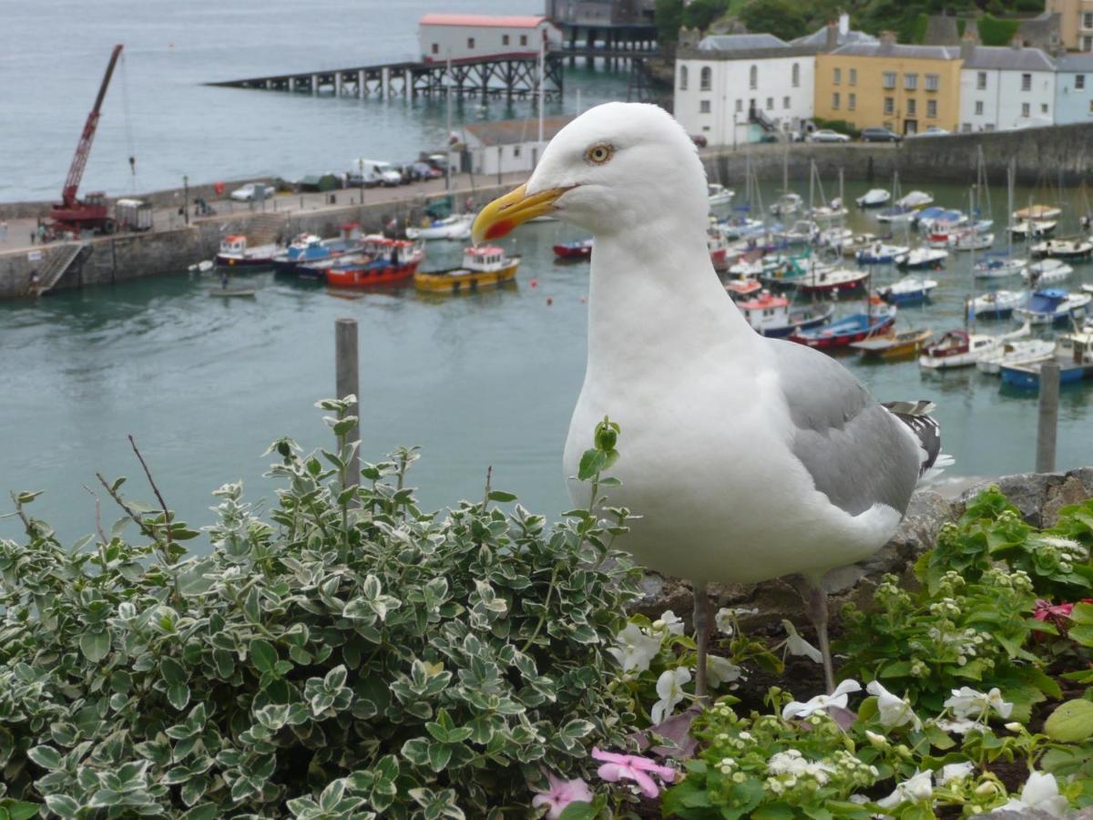 Sutherlands 3 Picton Road Holiday Tenby