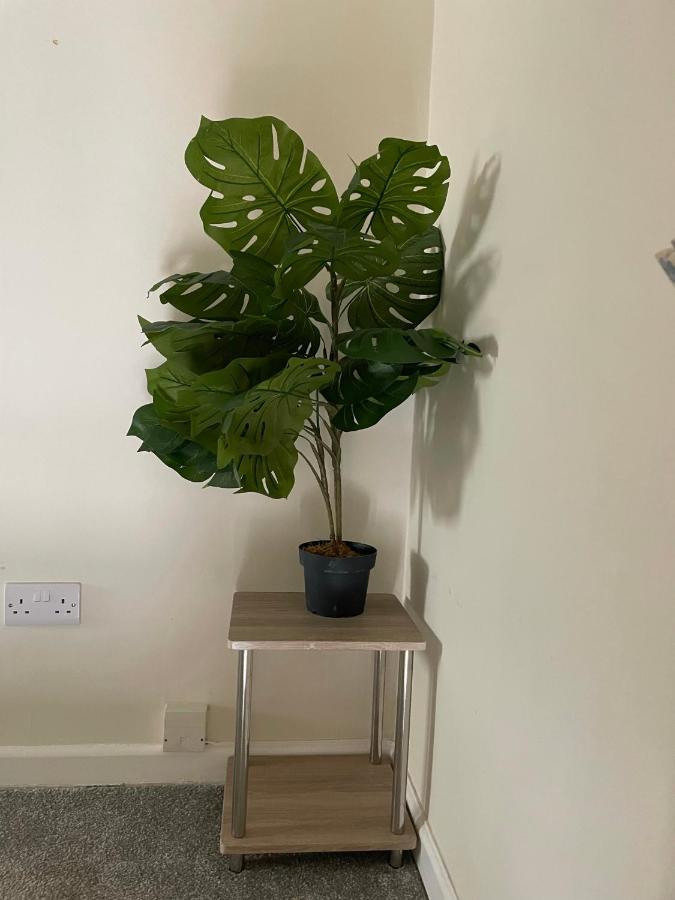 Apartment - Two Bedroom Apartment- Private Parking Tenby