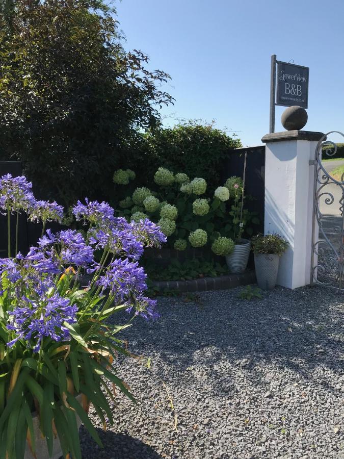 Gower View Luxury Bed & Breakfast Gumfreston