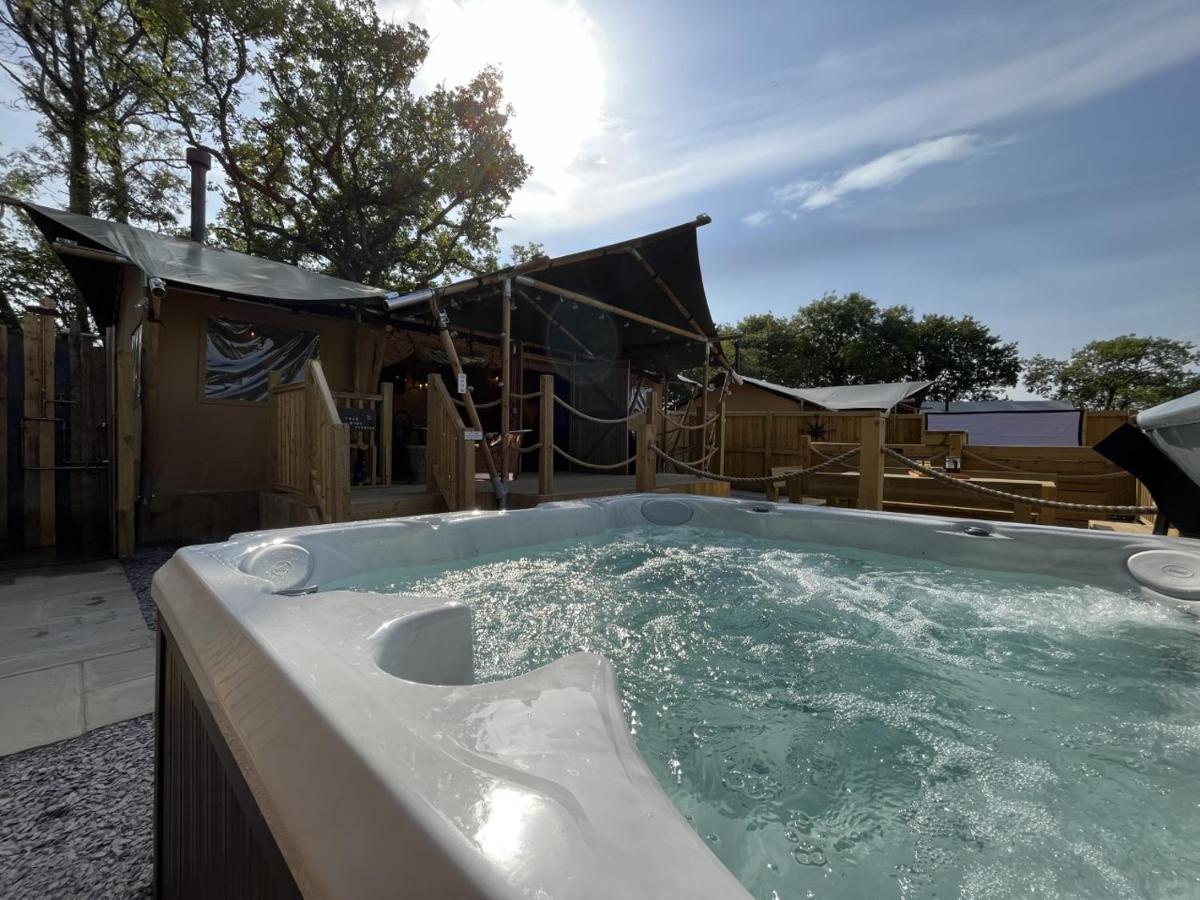 Luxury tent Lion King Safari Tent Tenby