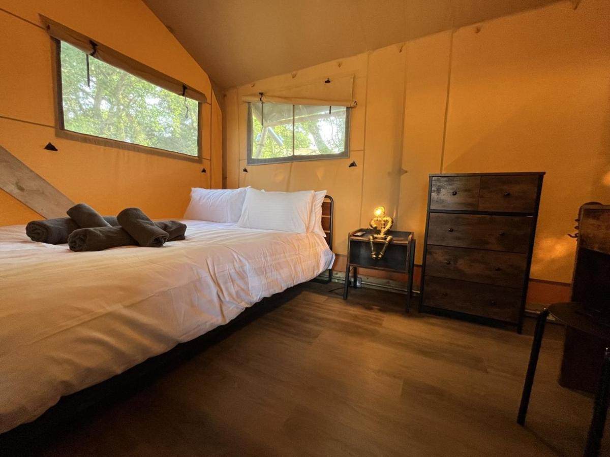Lion King Safari Tent Luxury tent *