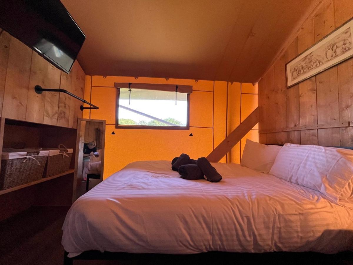 Aladdin Safari Tent *