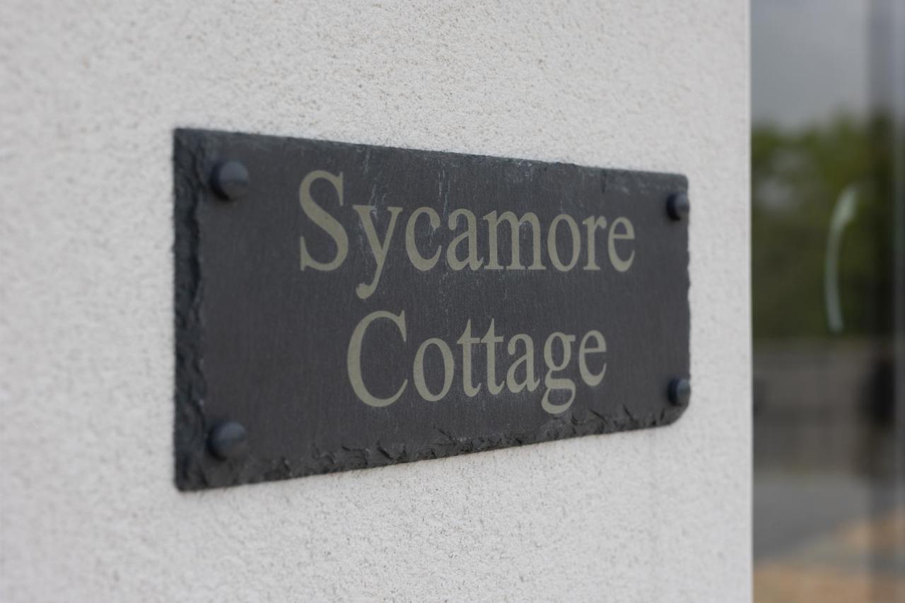 Sycamore Holiday home Tenby