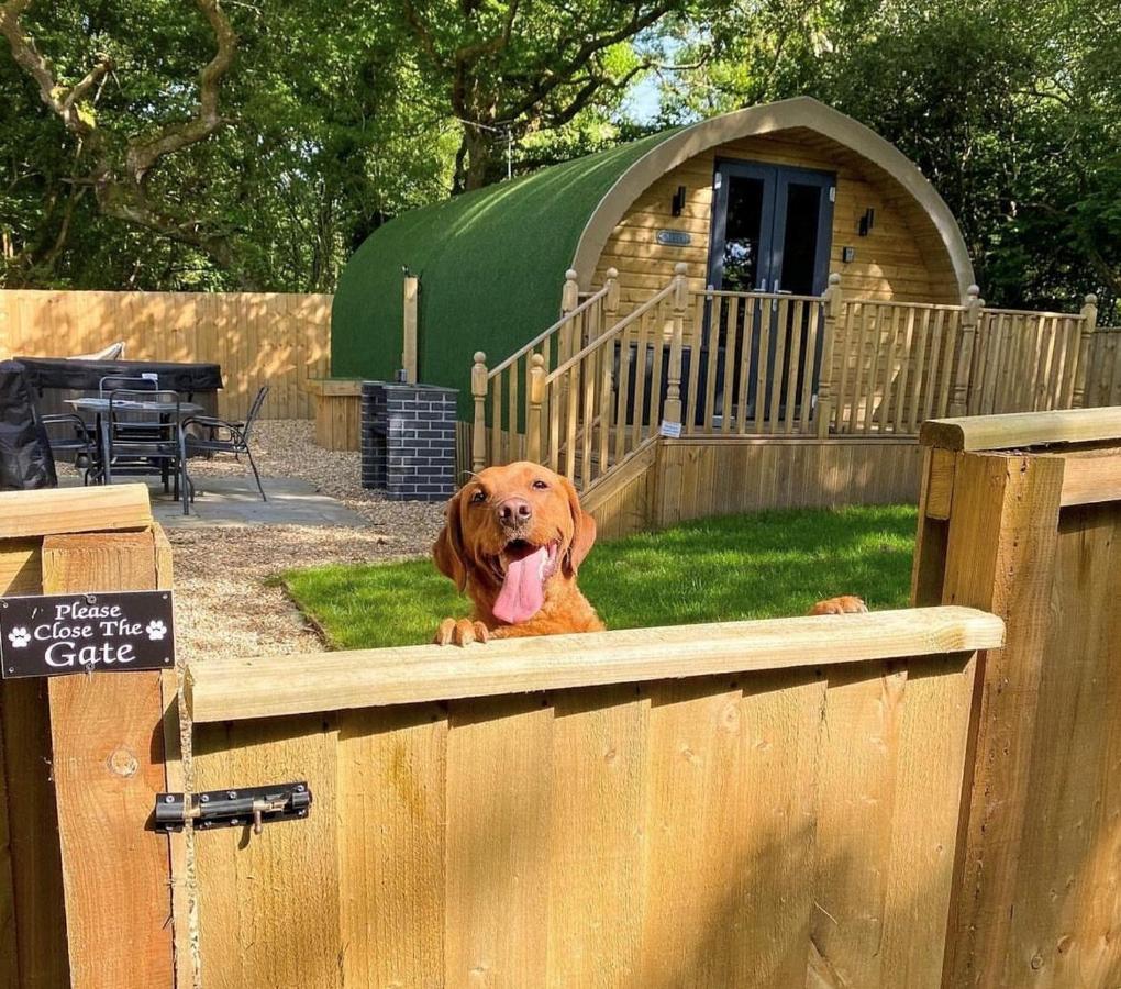 Cwtch Holiday home Tenby