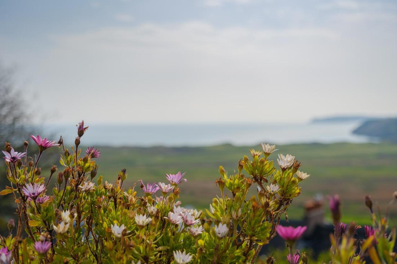 Priory Bay Escapes - Matahari Apartment Tenby