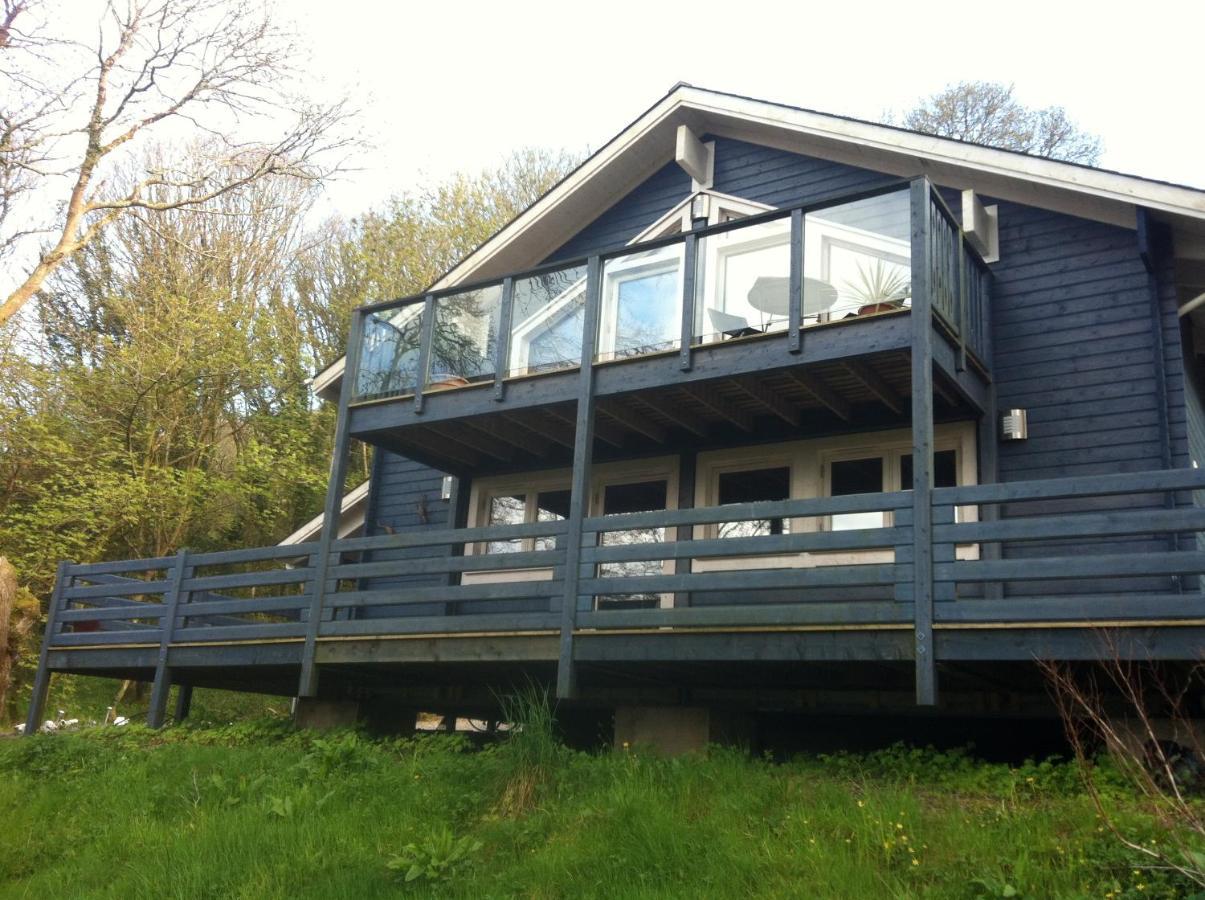 The Blue House