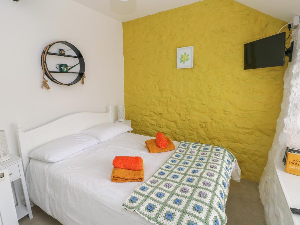 Primrose * Tenby