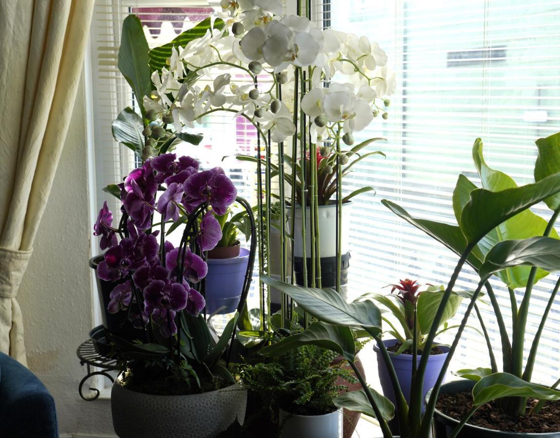 Marlborough Guest House B & B 3* Tenby