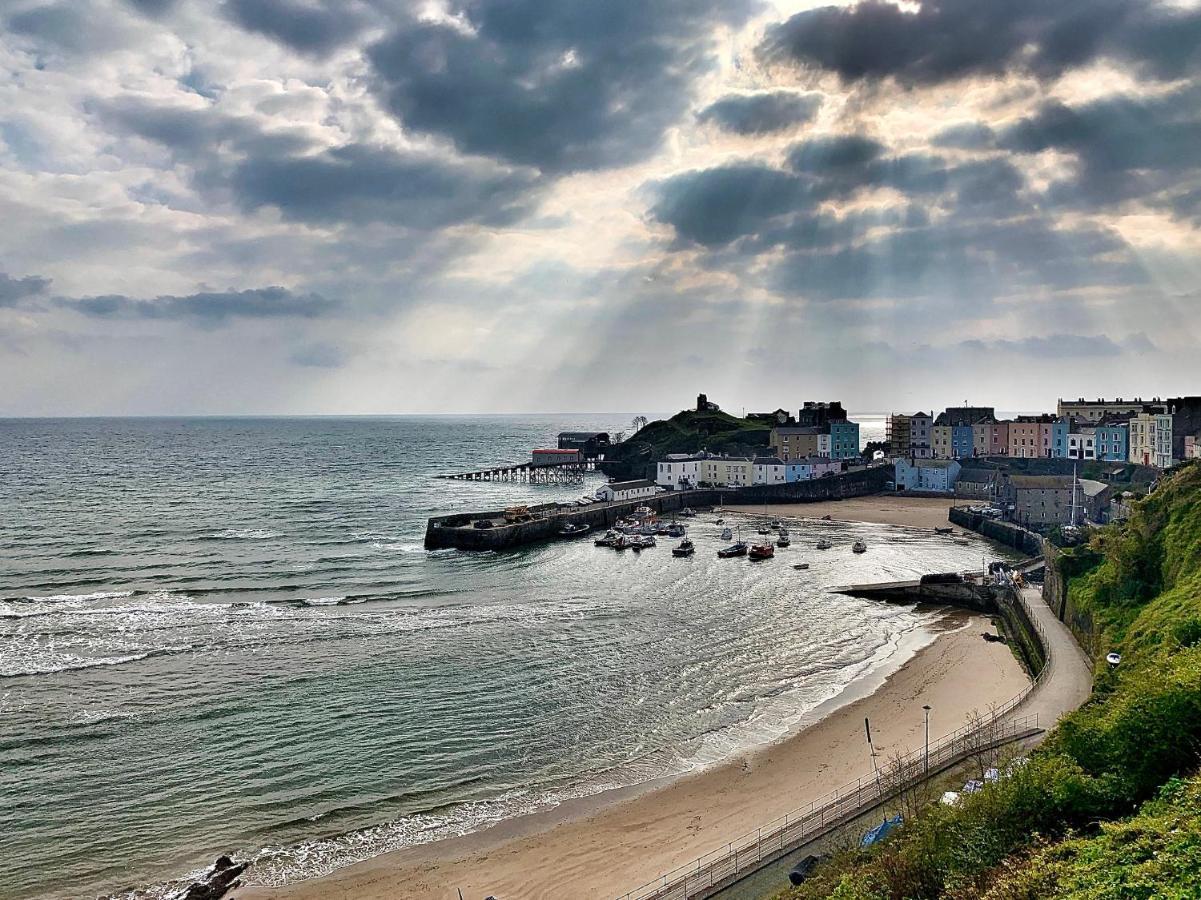 Daffodil * Tenby