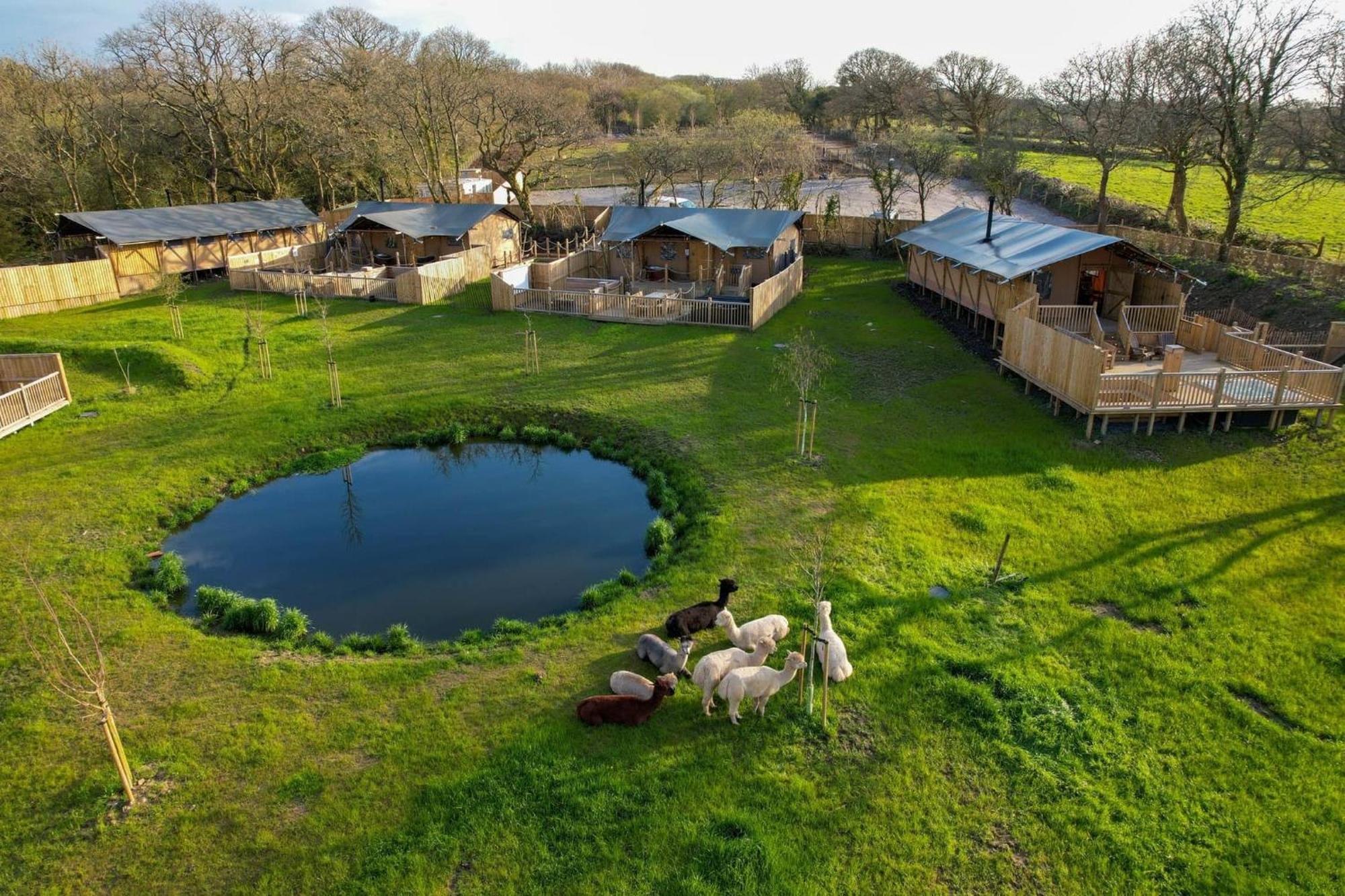 Luxury tent Jungle Book Safari Tent *
