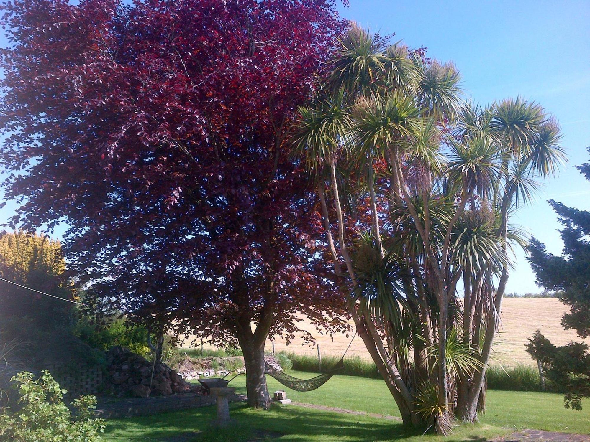 Bed & Breakfast Wychwood House Penally