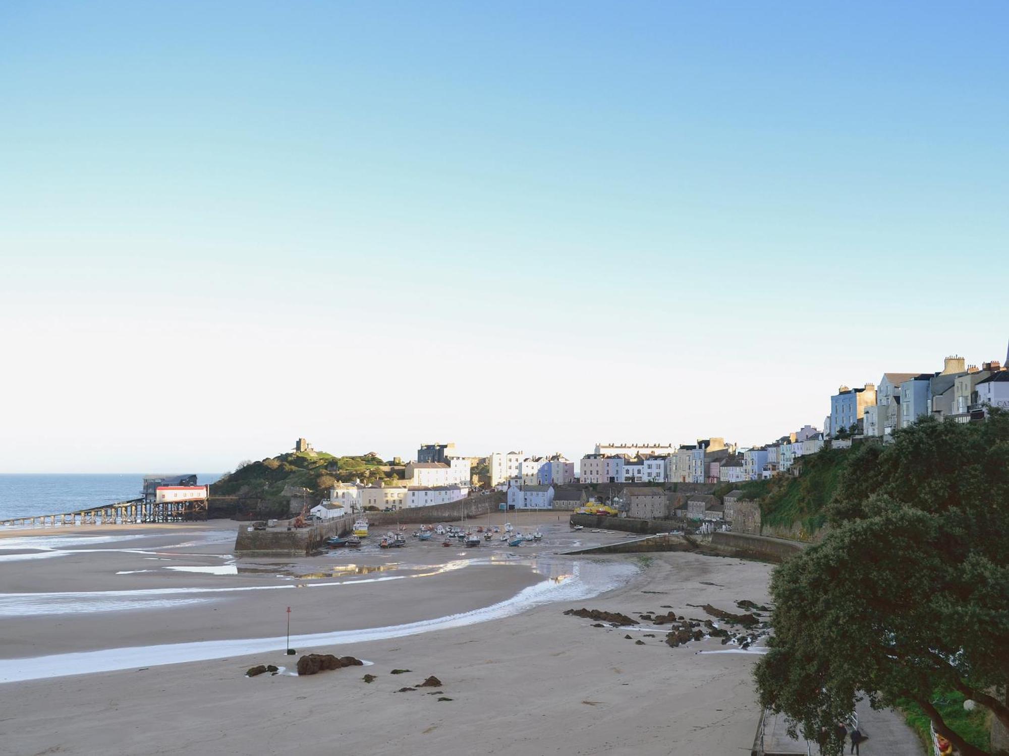 Rose Tenby