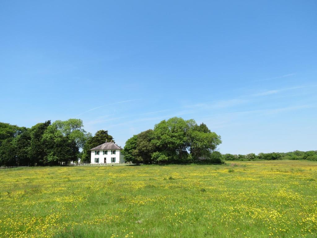 Elm Grove Bed & Breakfast