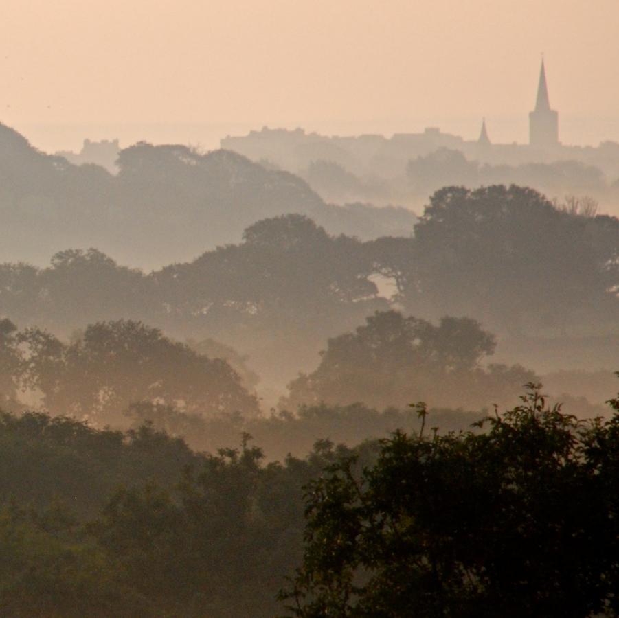 Bed & Breakfast Gower View Luxury 3*