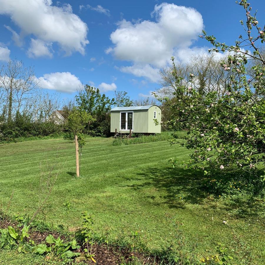 Hillcrest Hut Apartment Tenby