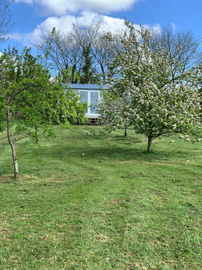 Hillcrest Hut Tenby