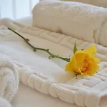 White Rose Guest House