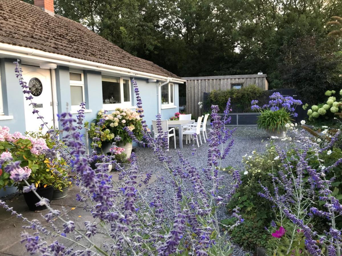 Gower View Luxury Bed & Breakfast 3*