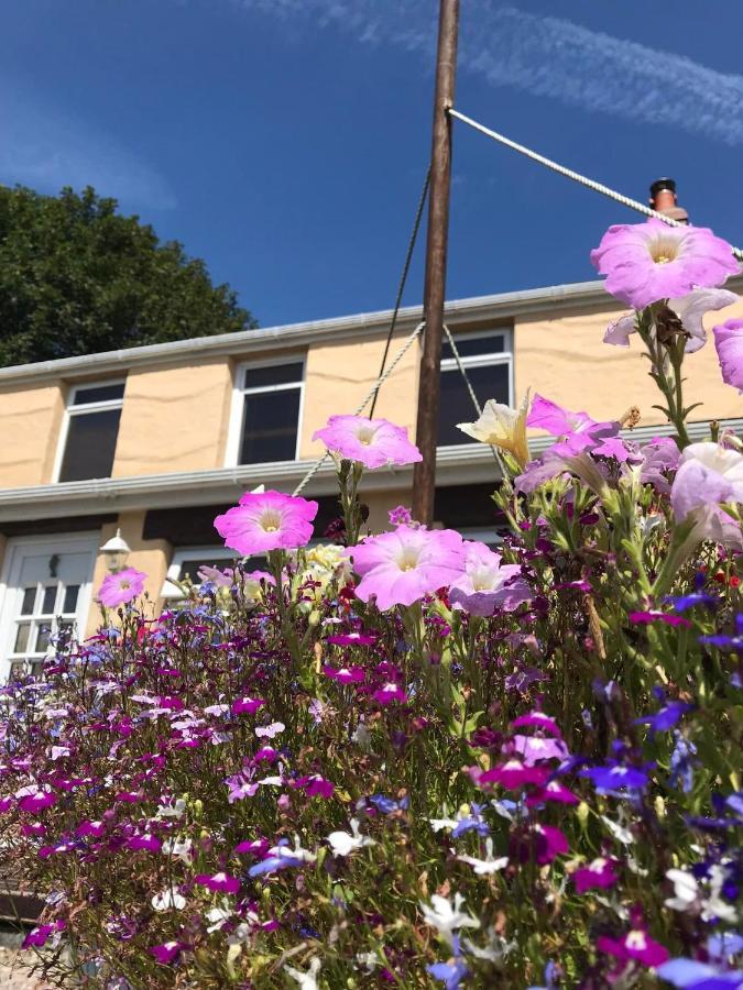 Guest house Habititabities Tenby