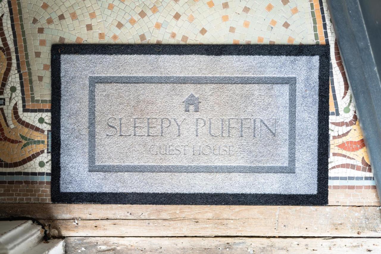 Sleepy Puffin Tenby