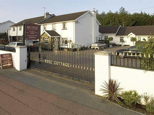 Rose Hotel 3*