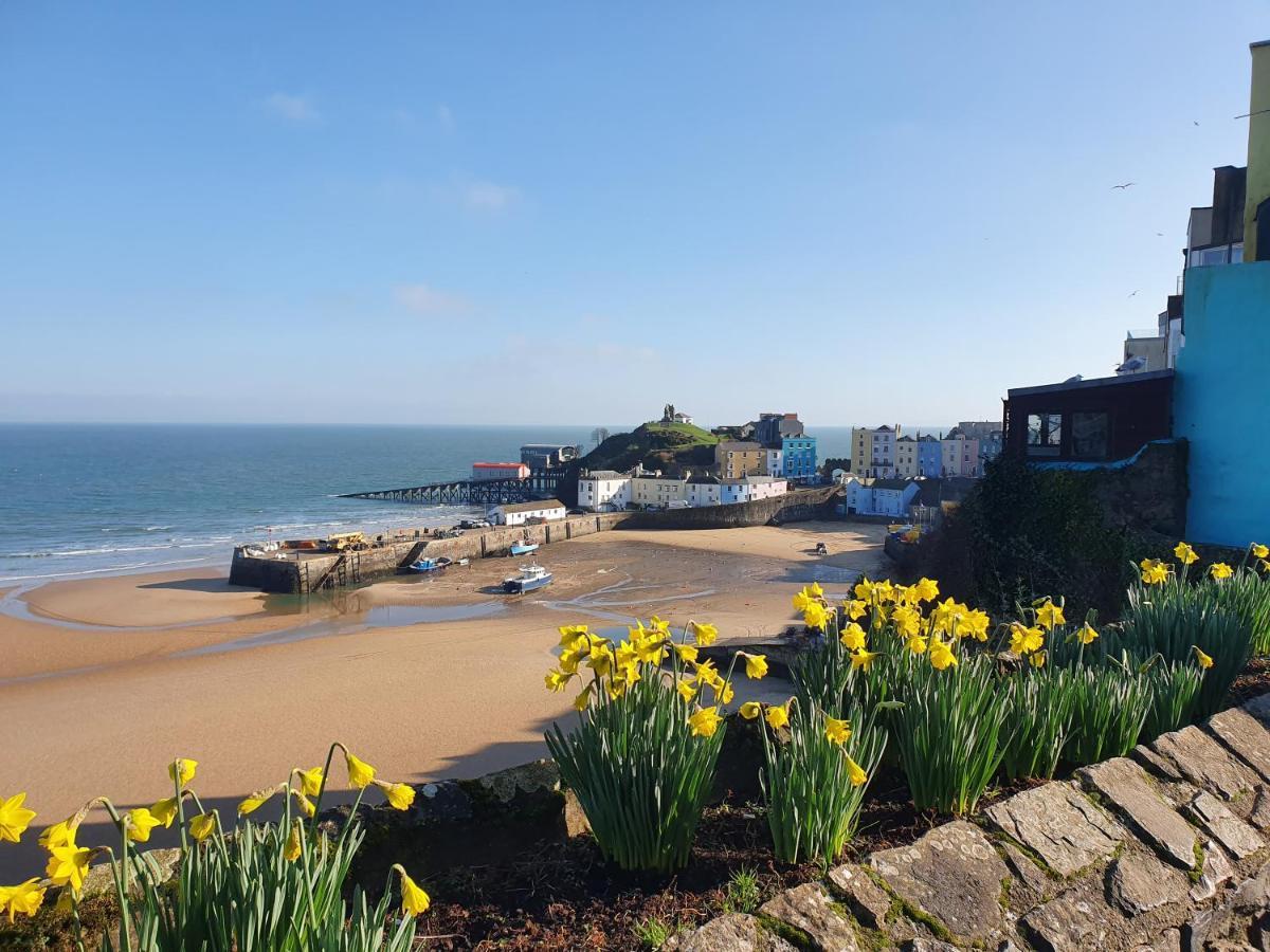 Beachcomber Tenby
